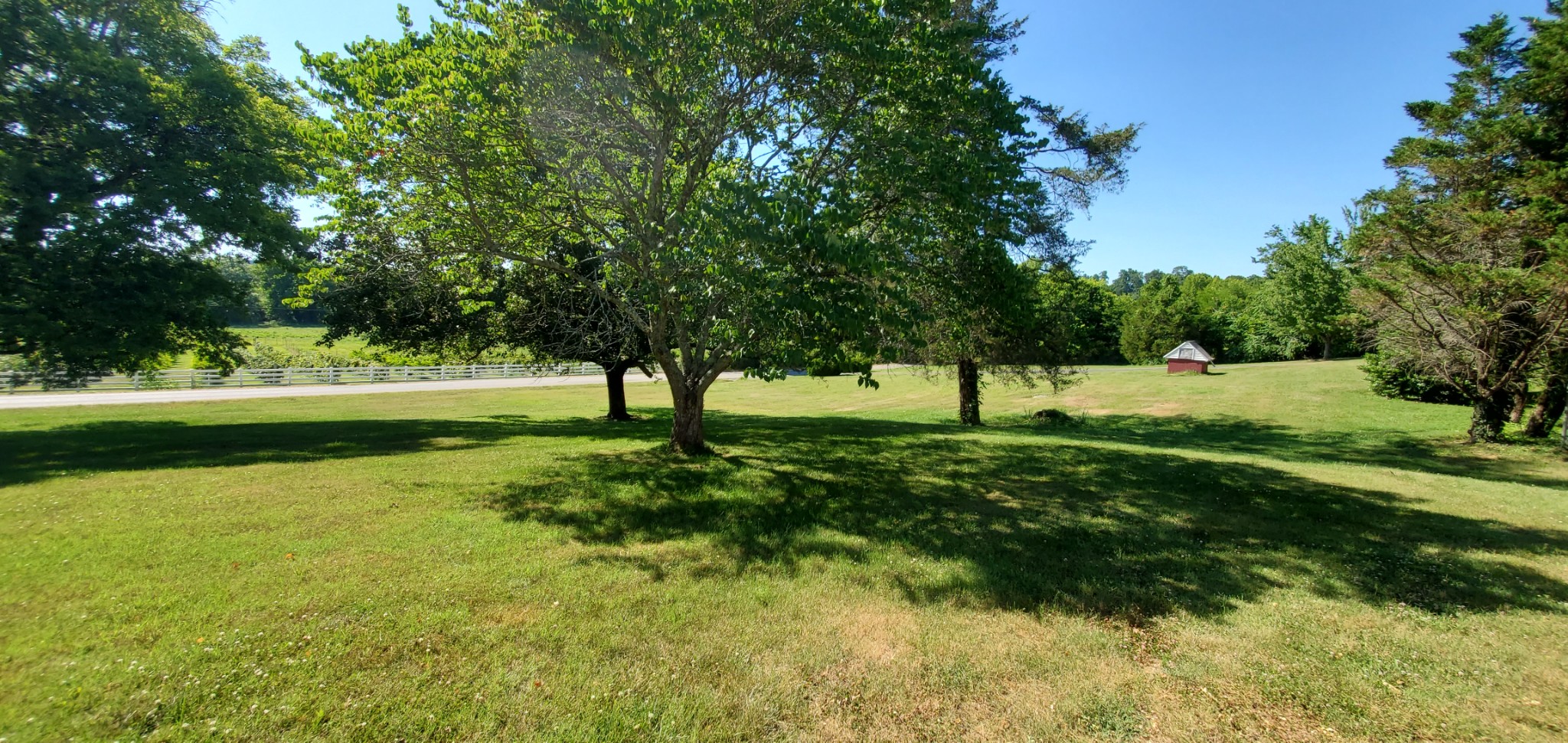 1915 Crescentview Road Pulaski, TN 38478 - Photo 25 of 28 a view of yard with green space and trees