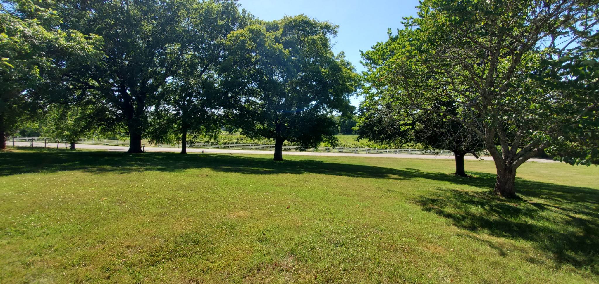 1915 Crescentview Road Pulaski, TN 38478 - Photo 27 of 28 a view of a park