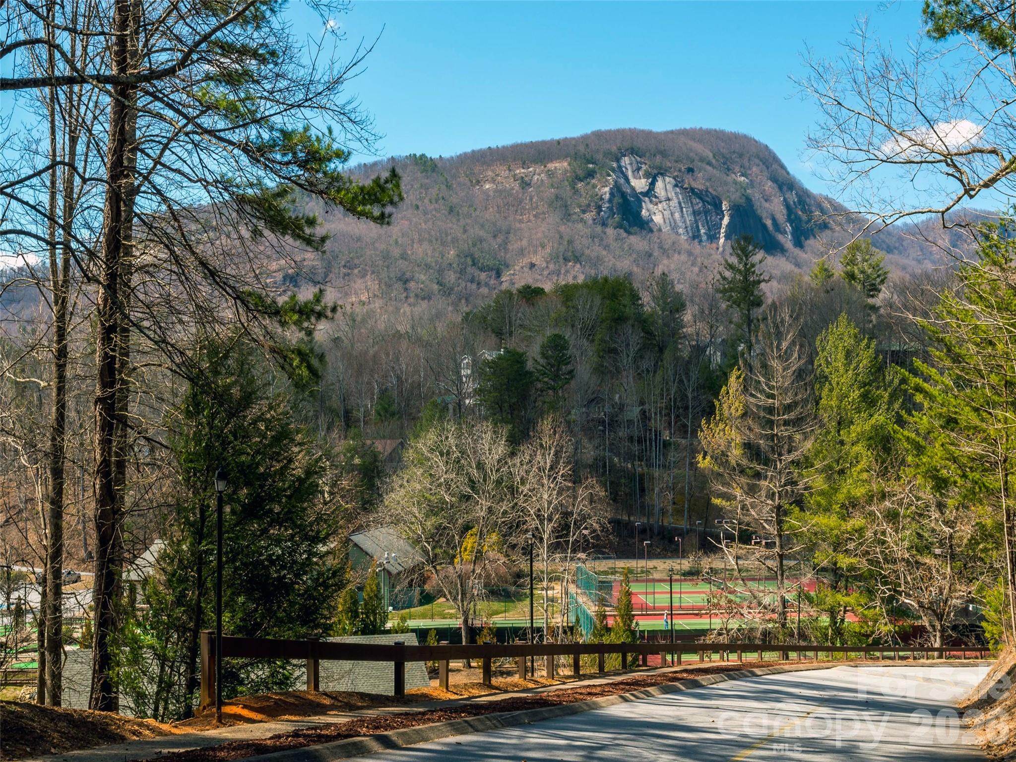 Lot 35 Roundabout Road Lake Lure, NC 28746 - Photo 7 of 18 Gallery Image 7