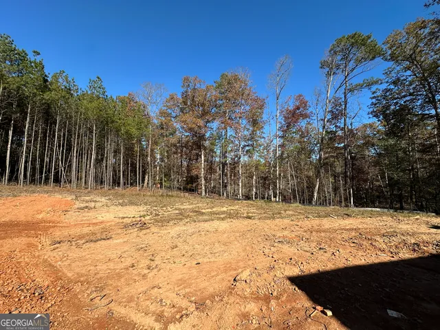 a view of a yard with trees
