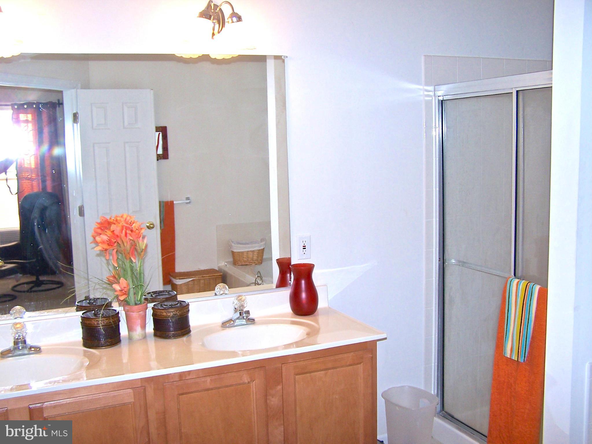 5290 Sands Road Lothian, MD 20711 - Photo 14 of 23 Bath (Master)