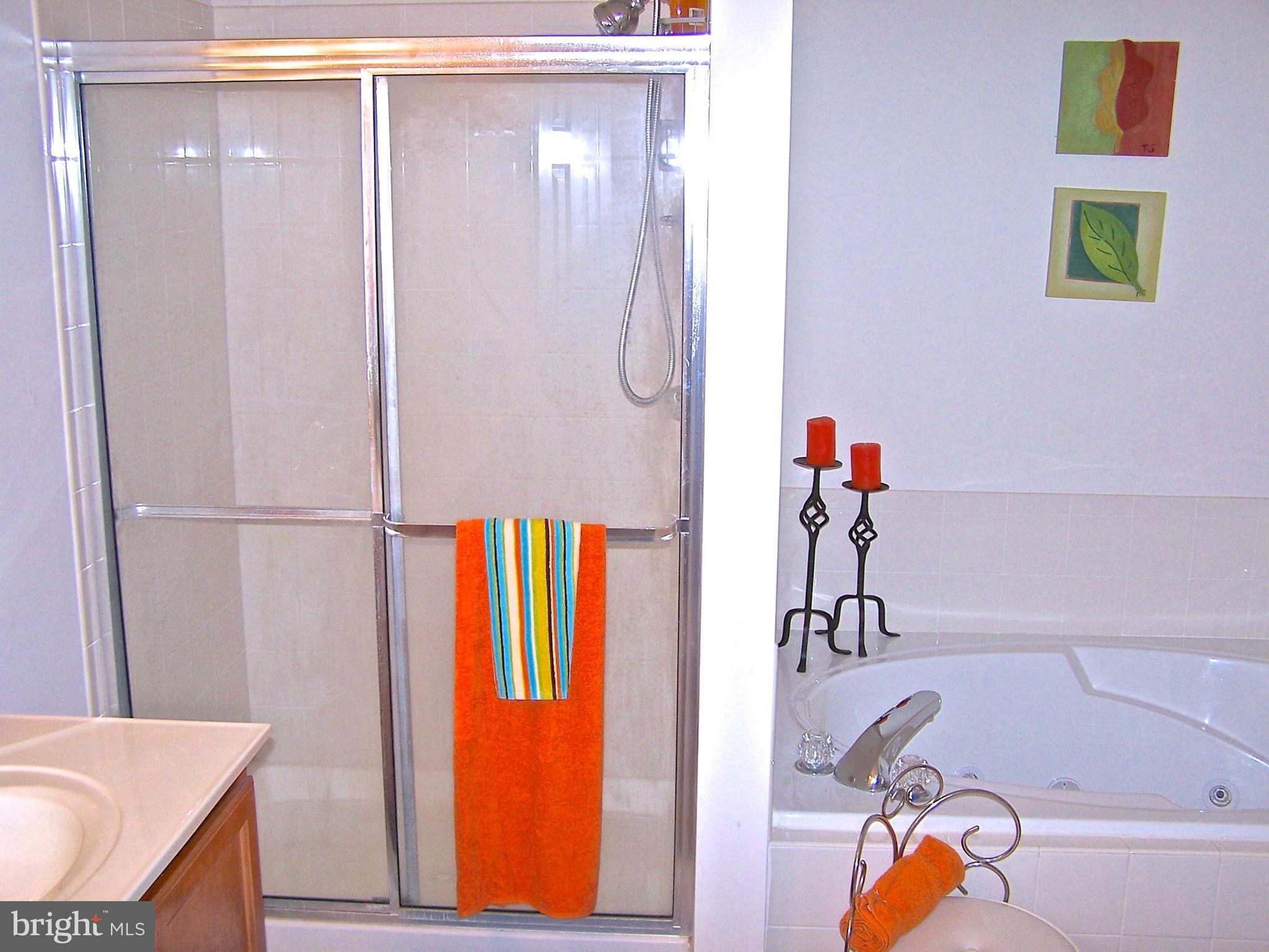 5290 Sands Road Lothian, MD 20711 - Photo 15 of 23 Bath (Master)