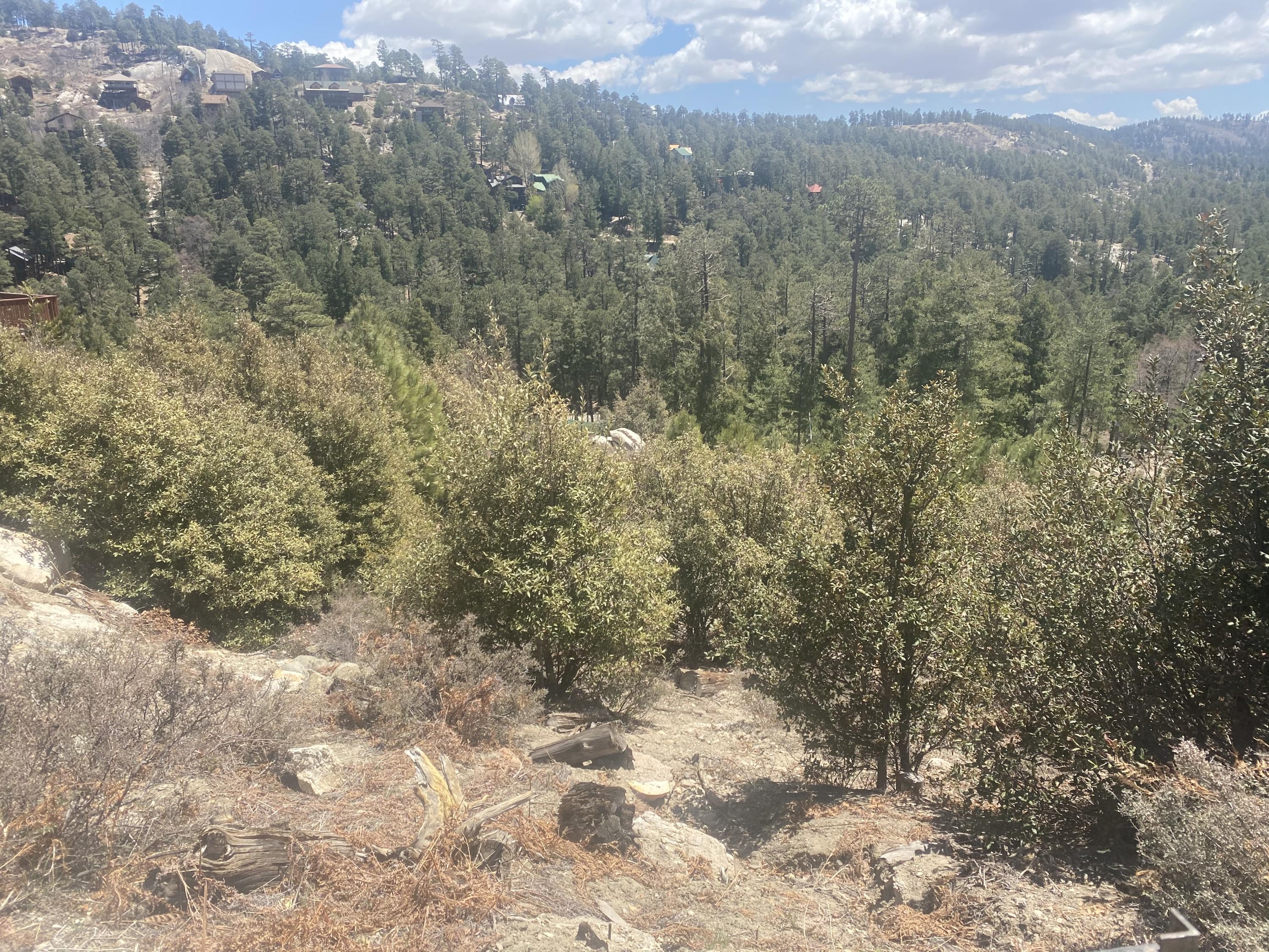 11204 East Upper Goat Hill Road, Unit 1 Mount Lemmon, AZ 85619 - Photo 2 of 4
