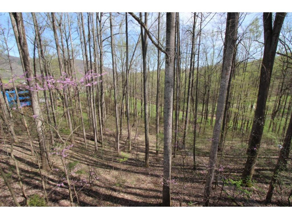 305 Golf Course Road Unicoi, TN 37692 - Photo 14 of 21 Photo 14