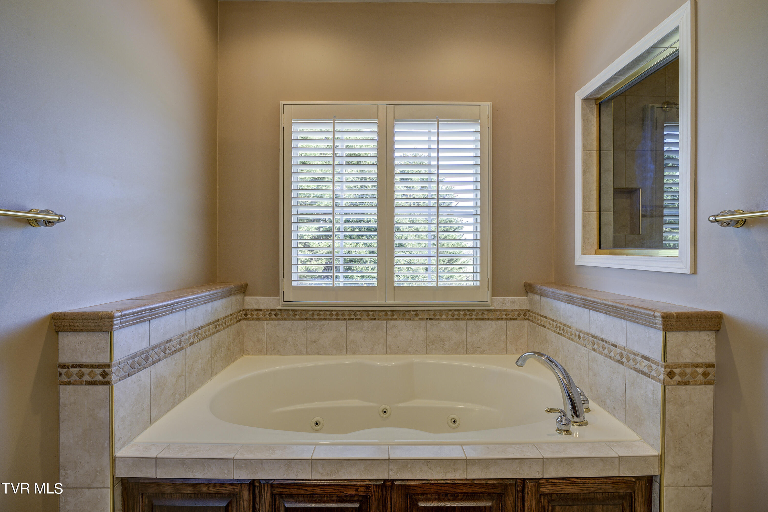219 County Farm Road Jonesborough, TN 37659 - Photo 29 of 81 Jet Tub