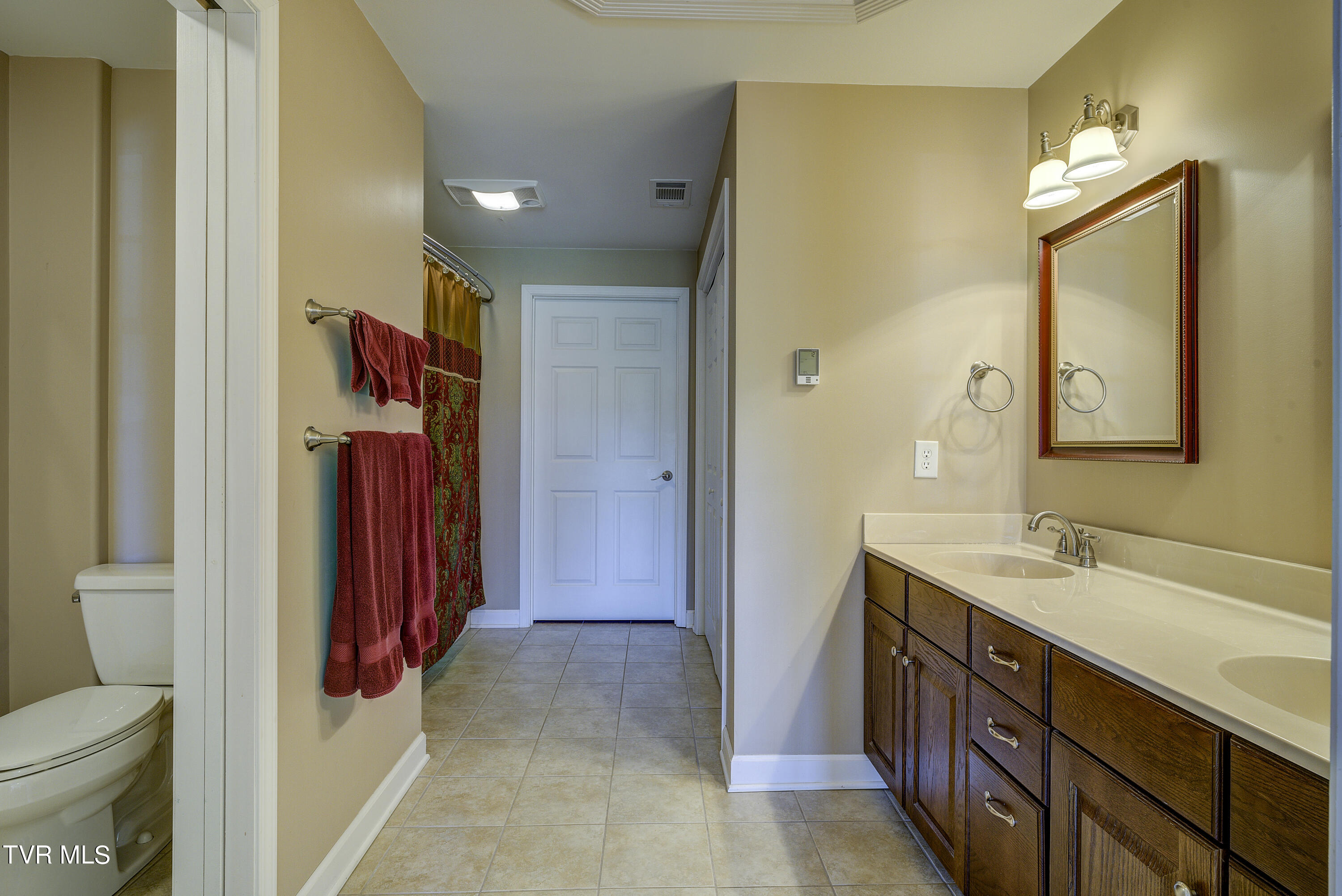 219 County Farm Road Jonesborough, TN 37659 - Photo 46 of 81 DS Master Suite