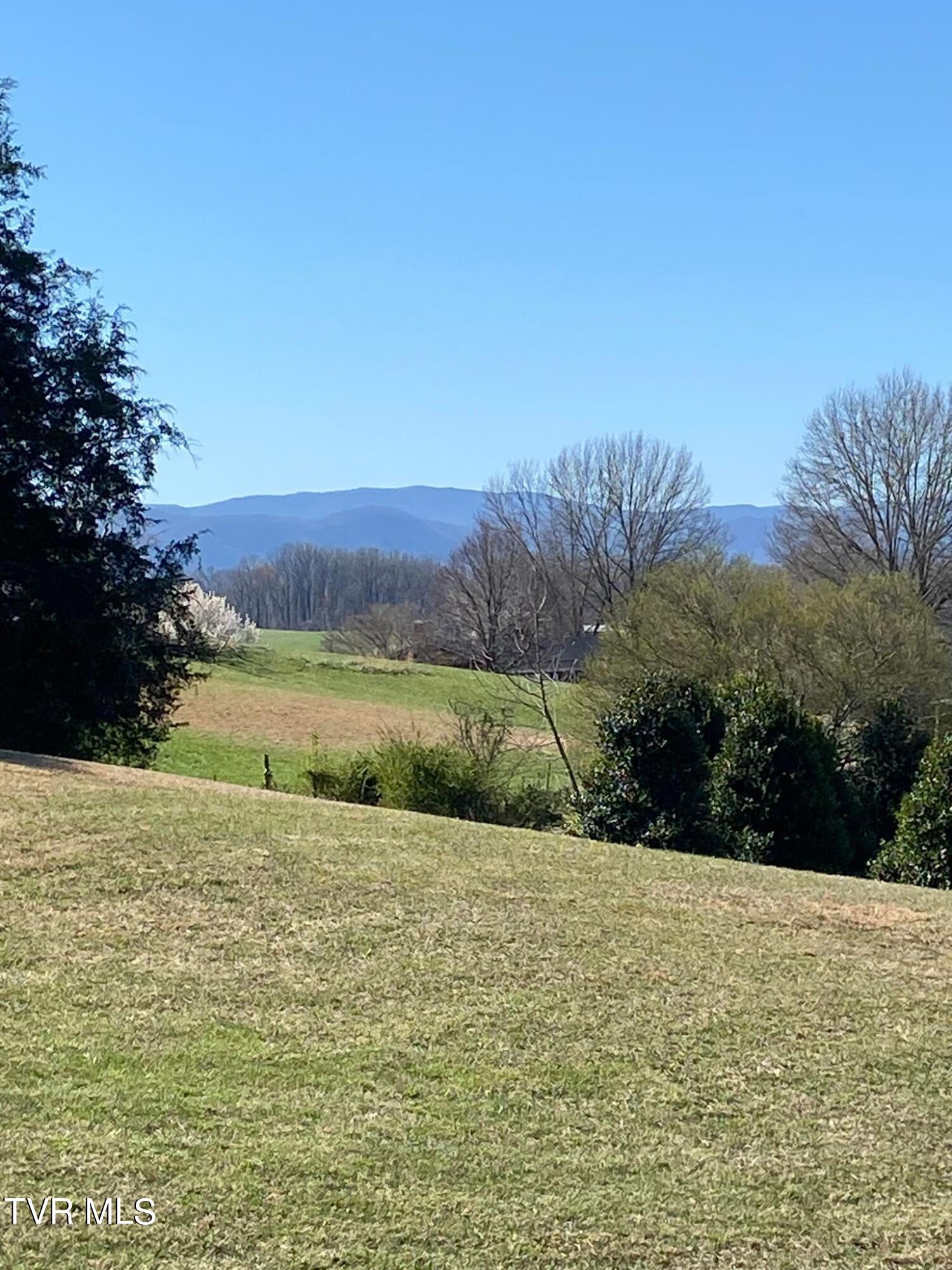 219 County Farm Road Jonesborough, TN 37659 - Photo 48 of 81 Mountain View from yard