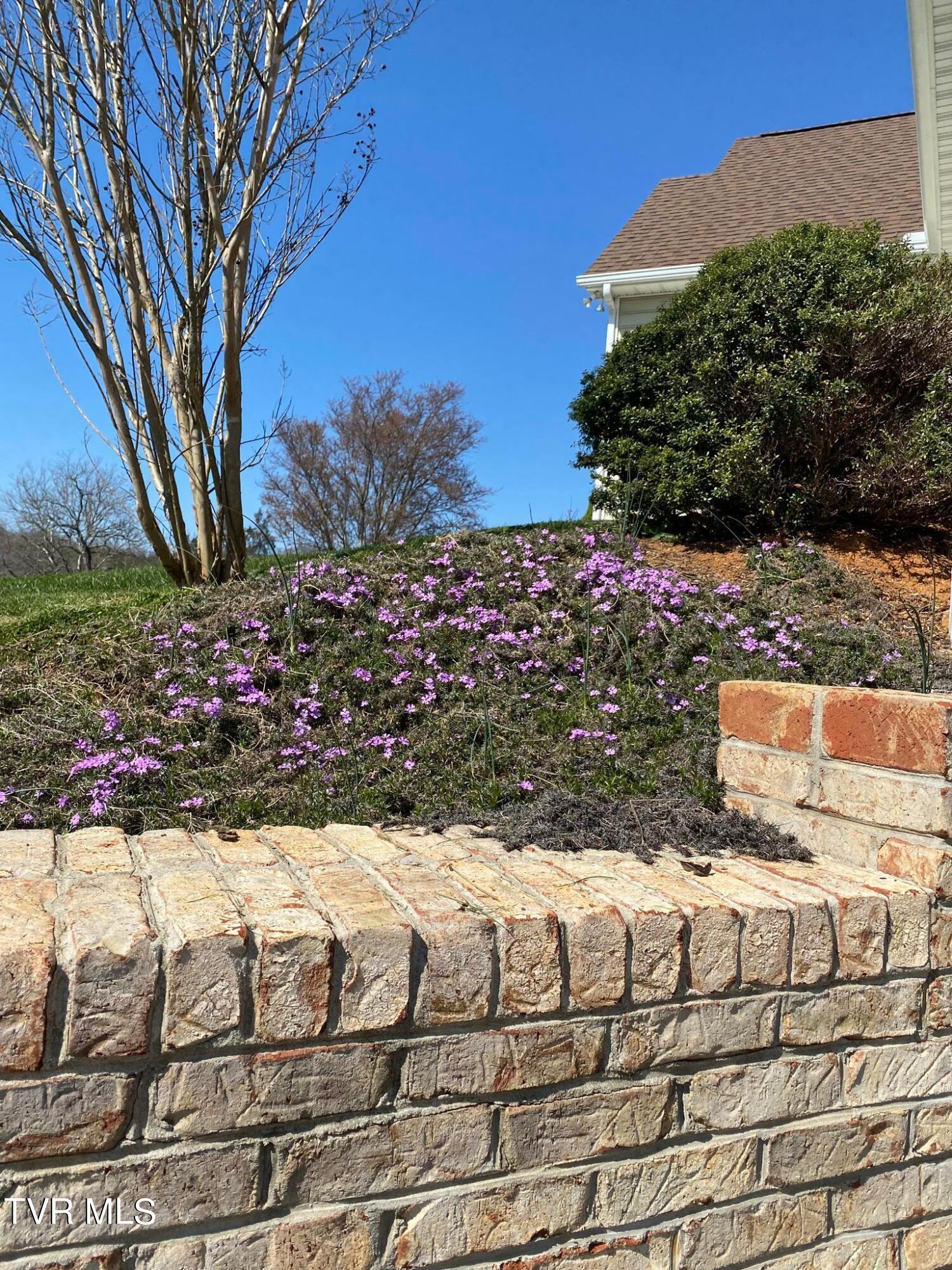 219 County Farm Road Jonesborough, TN 37659 - Photo 52 of 81 Flowers