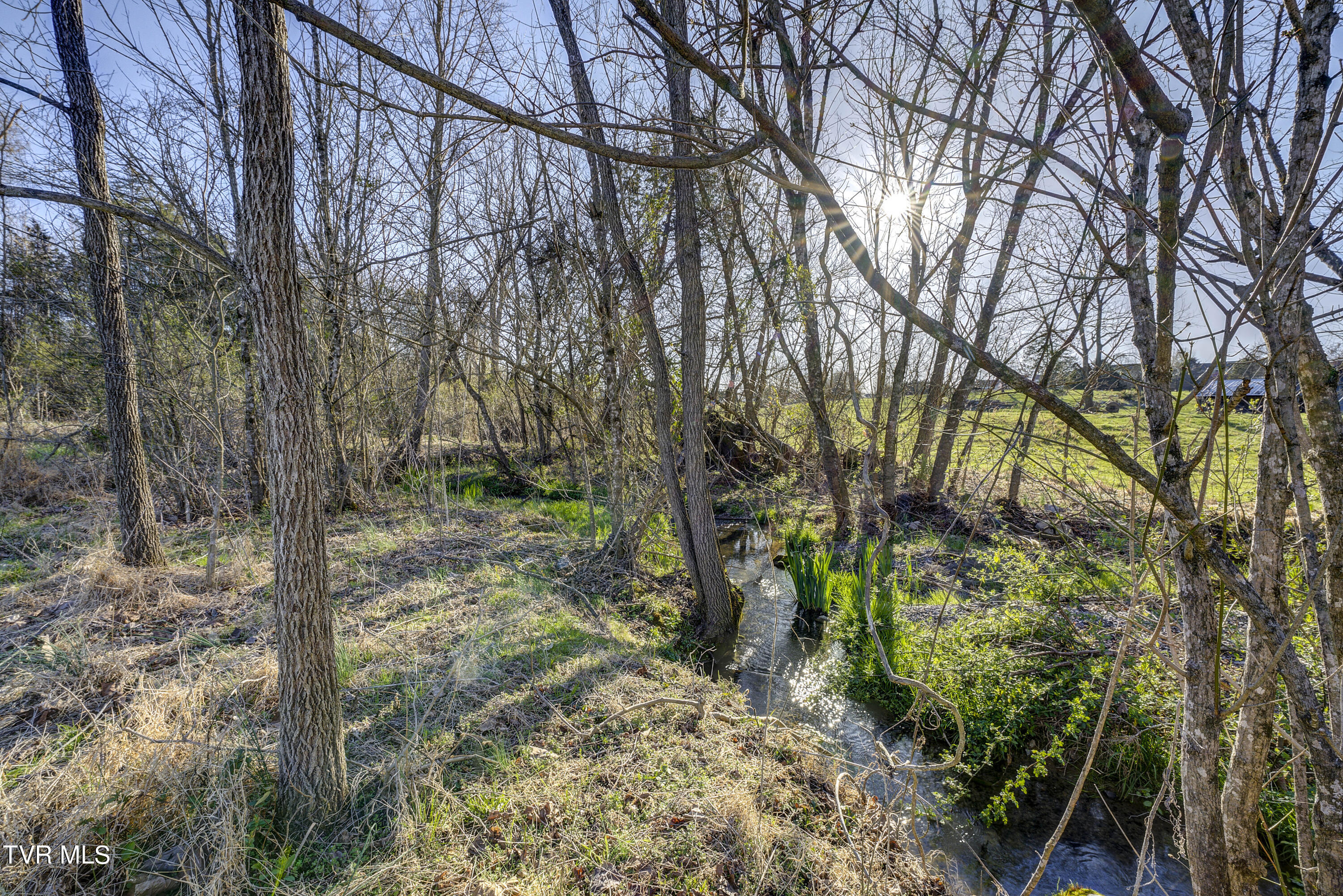 219 County Farm Road Jonesborough, TN 37659 - Photo 58 of 81 Stream On Property
