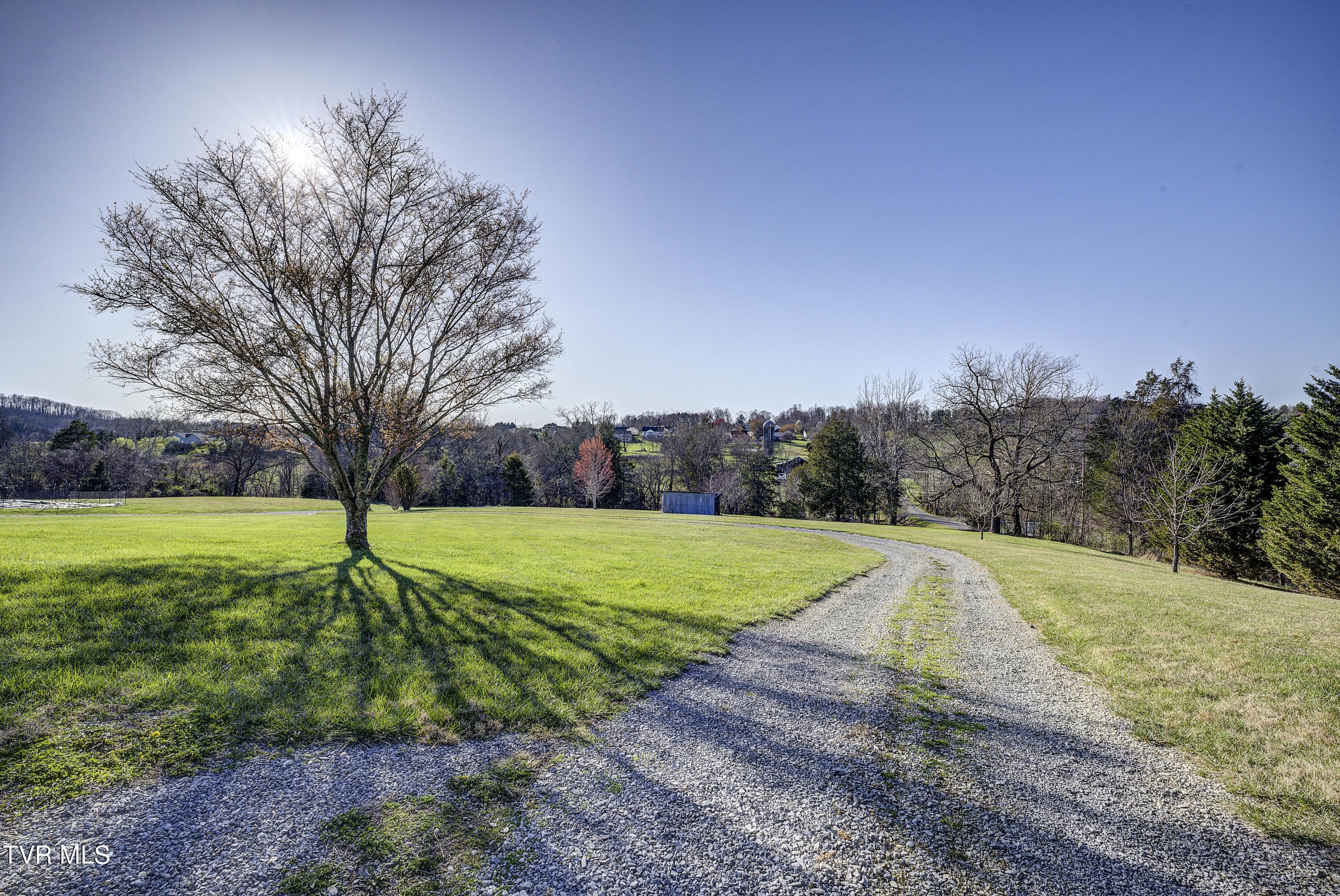 219 County Farm Road Jonesborough, TN 37659 - Photo 72 of 81 Driveway