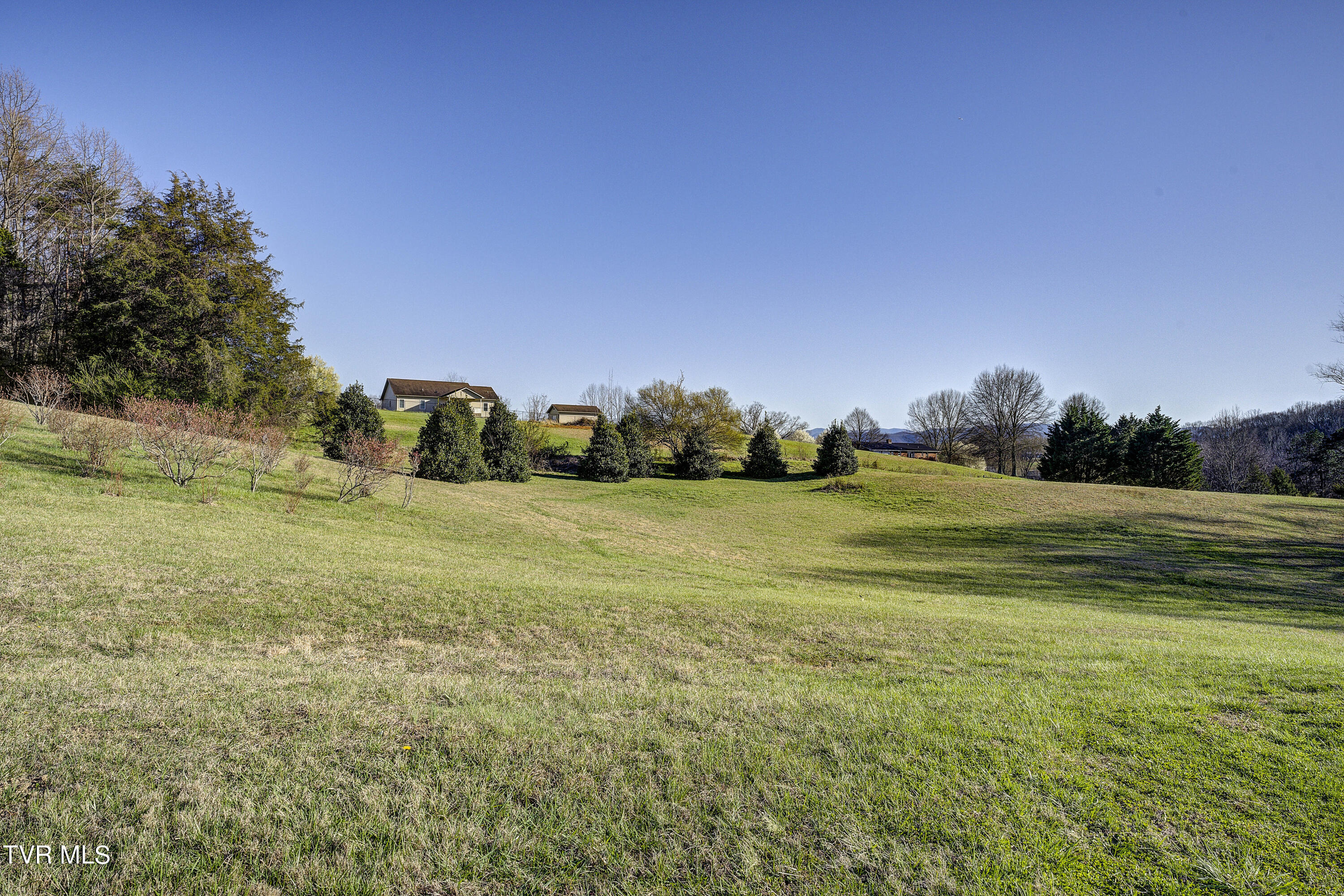 219 County Farm Road Jonesborough, TN 37659 - Photo 74 of 81 Land view