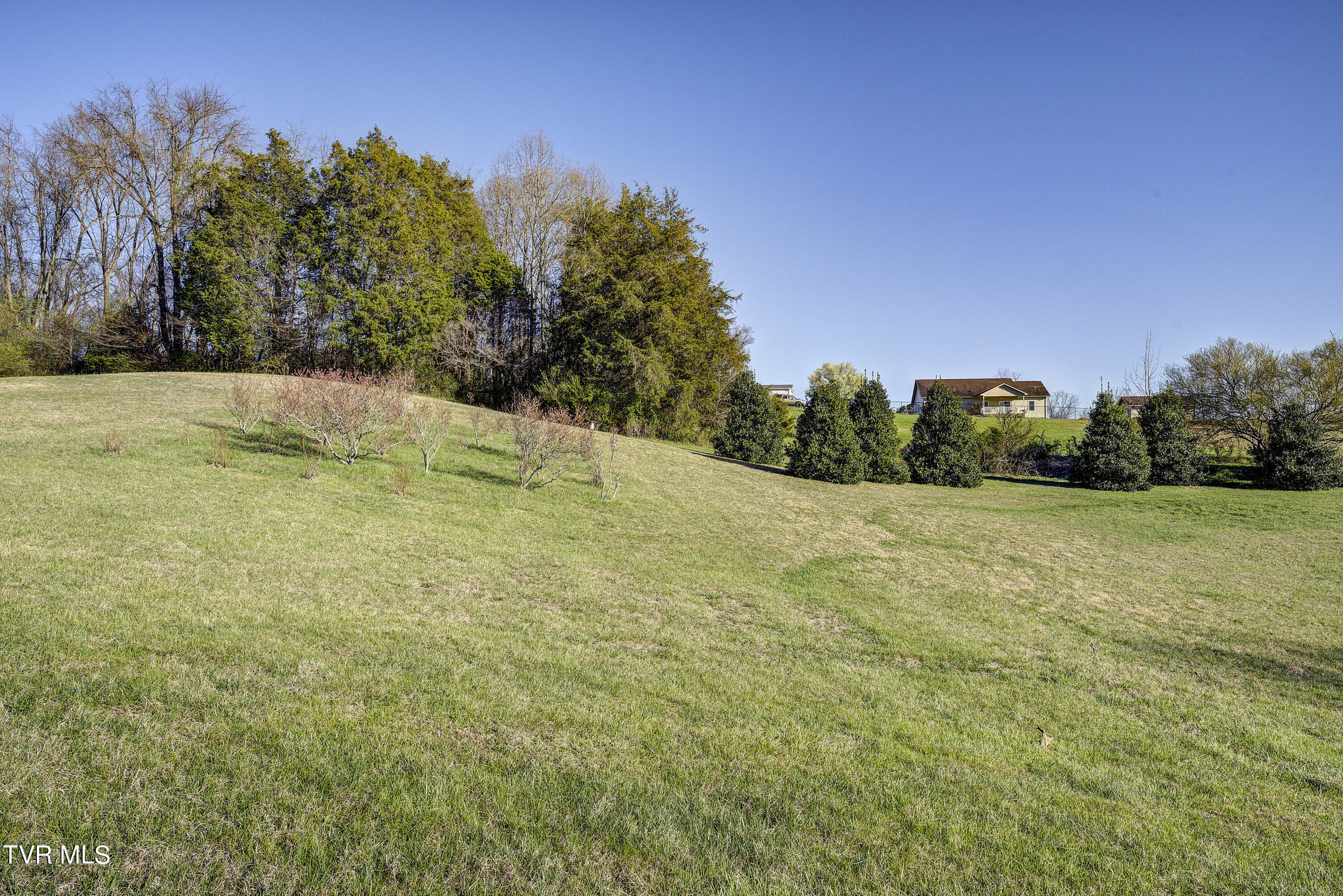 219 County Farm Road Jonesborough, TN 37659 - Photo 75 of 81 Land View