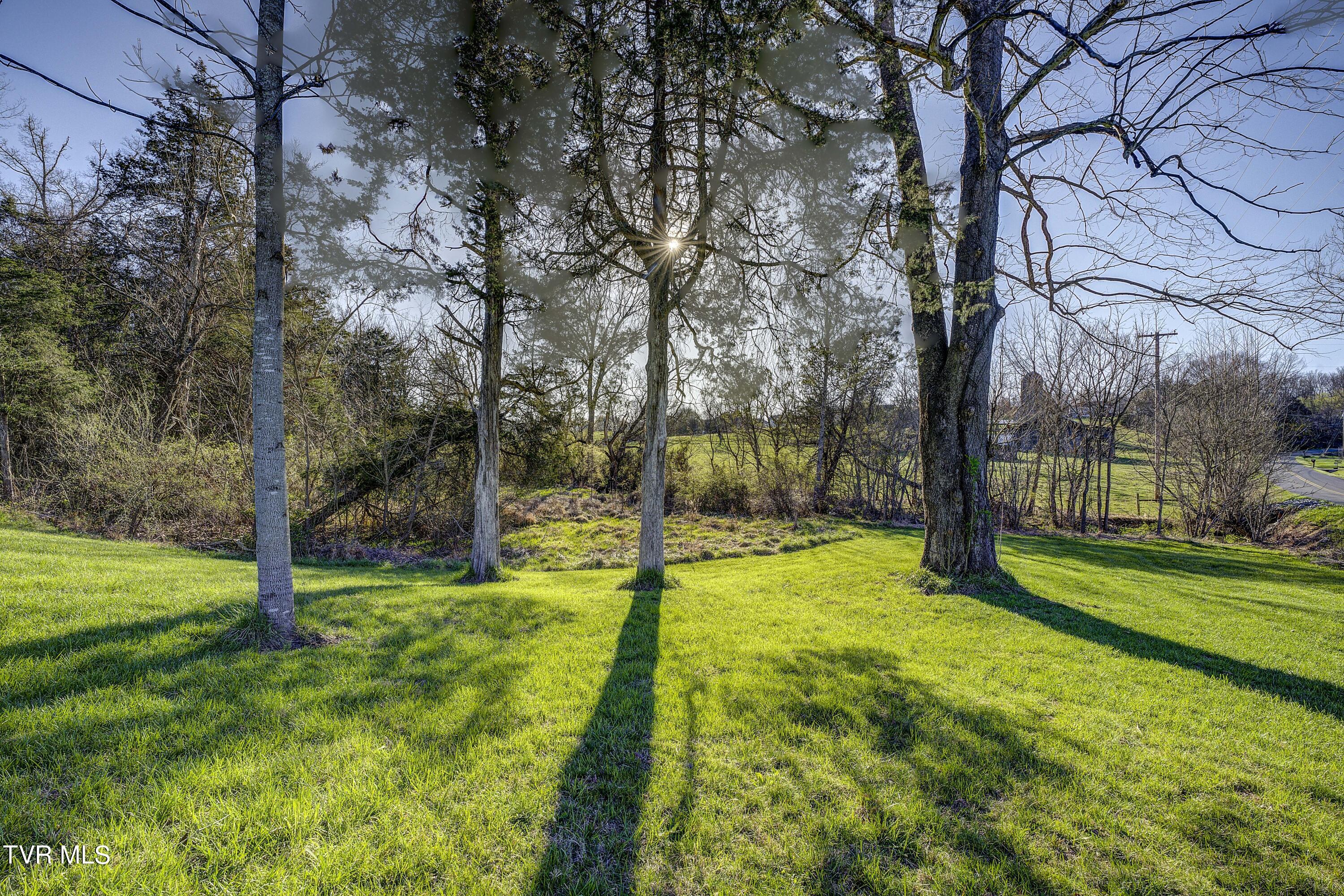 219 County Farm Road Jonesborough, TN 37659 - Photo 77 of 81 Land View