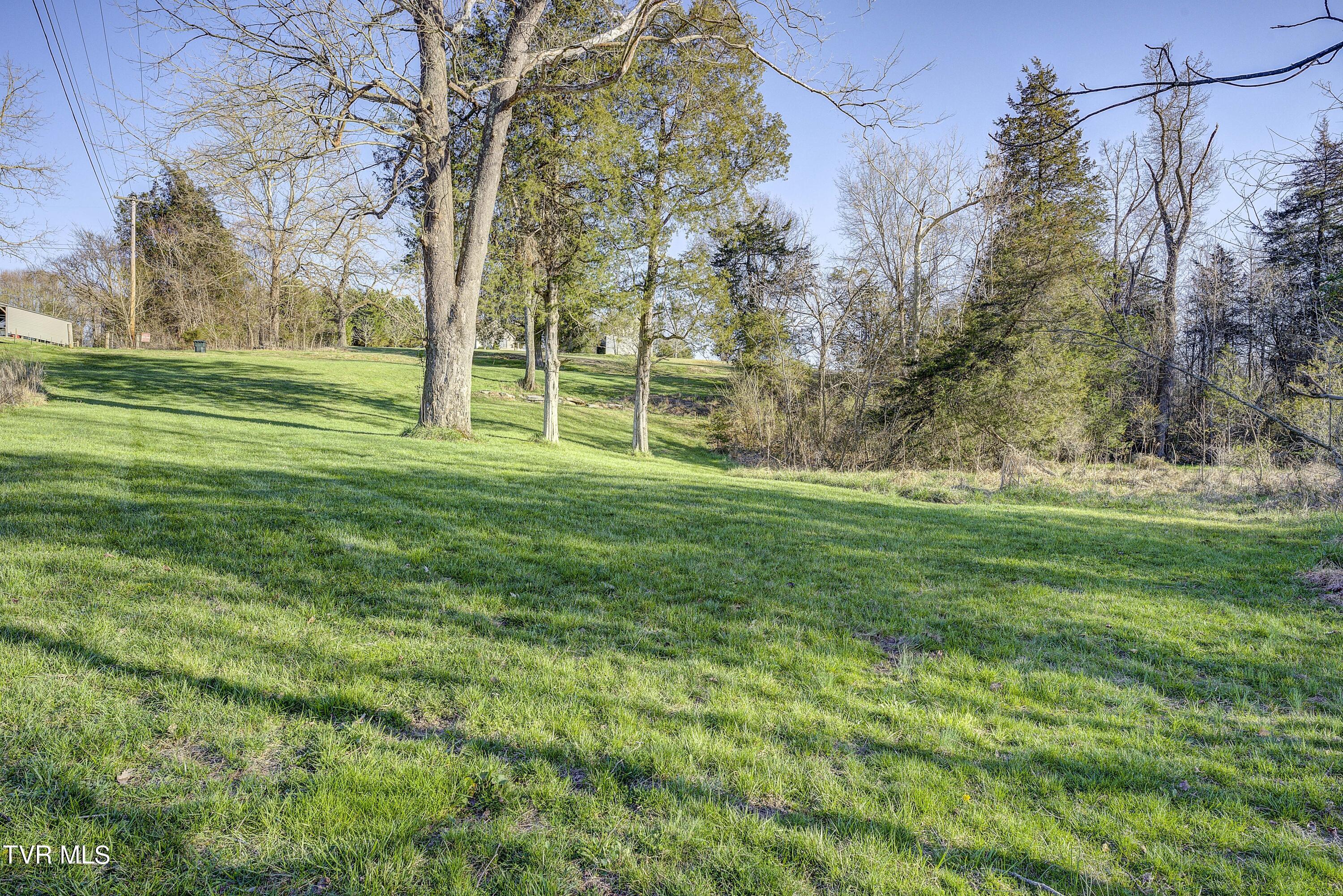 219 County Farm Road Jonesborough, TN 37659 - Photo 78 of 81 Land View