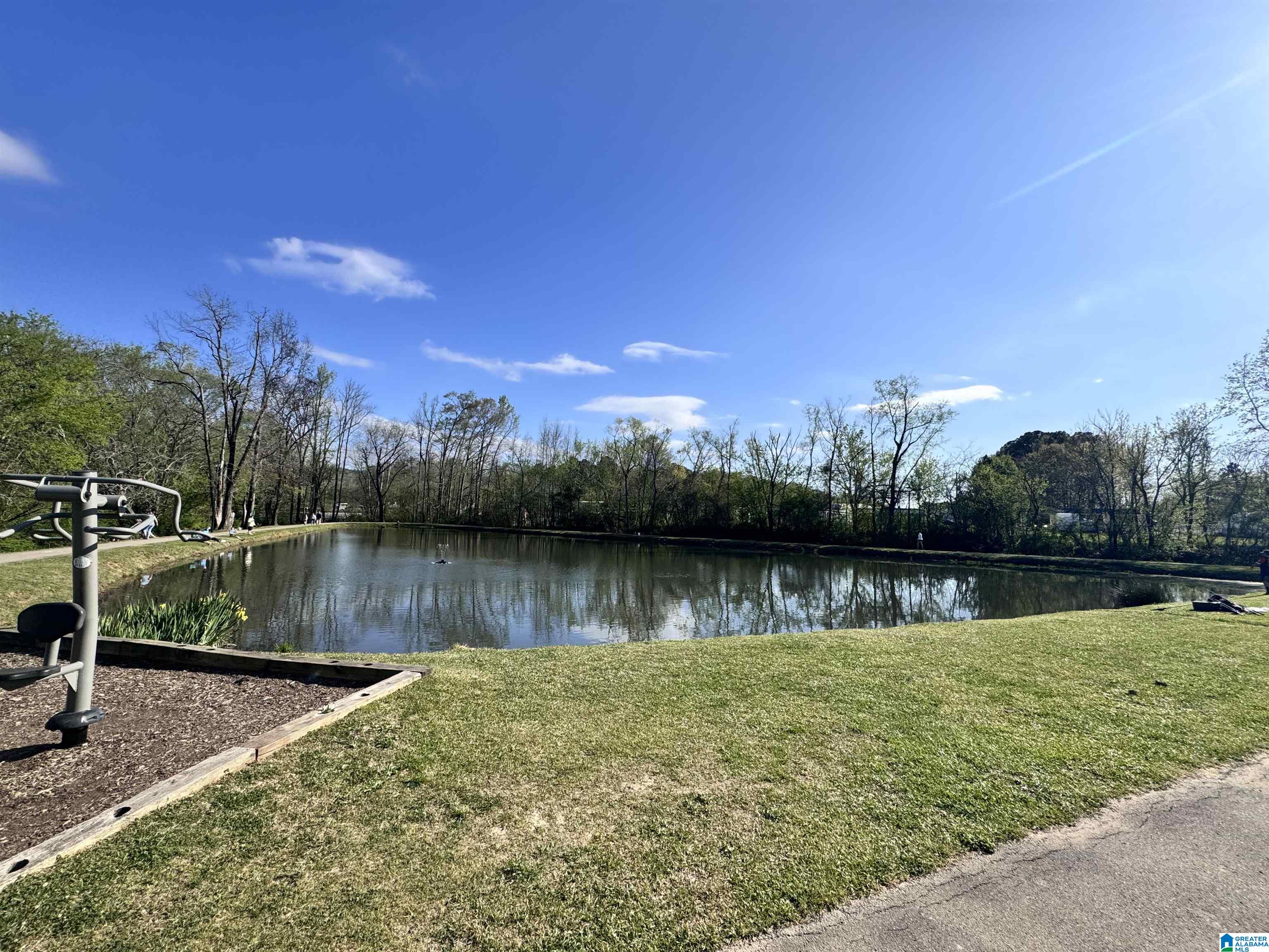 251 Robinson Street Springville, AL 35146 - Photo 58 of 59