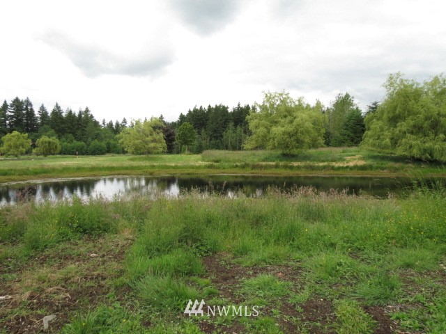 217 X Burk Road Blaine, WA 98230 - Photo 11 of 13 Gallery Image 11