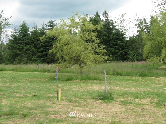 217 X Burk Road Blaine, WA 98230 - Photo 12 of 13 Gallery Image 12