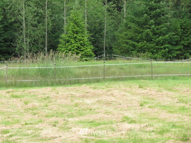217 X Burk Road Blaine, WA 98230 - Photo 13 of 13 Gallery Image 13