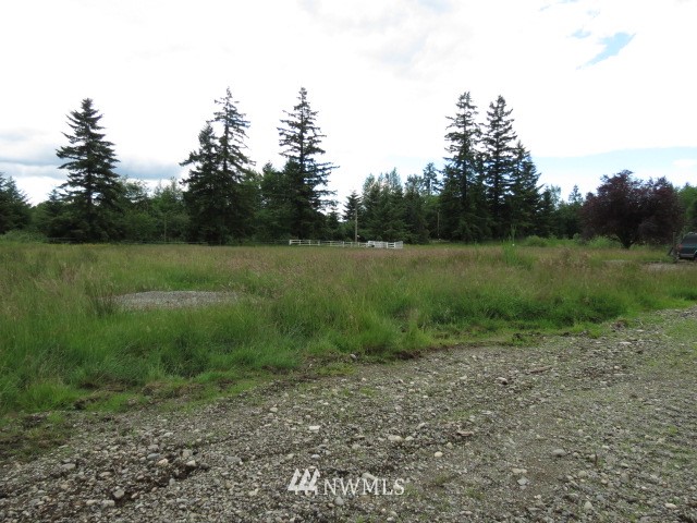 217 X Burk Road Blaine, WA 98230 - Photo 8 of 13 Gallery Image 8
