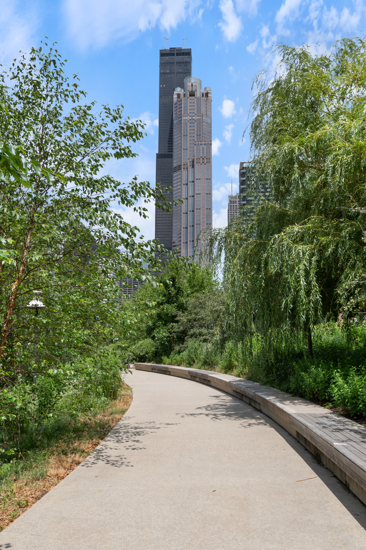 124 West Polk Street, Unit 100 Chicago, IL 60605 - Photo 43 of 45 a view of a garden with a building in the background