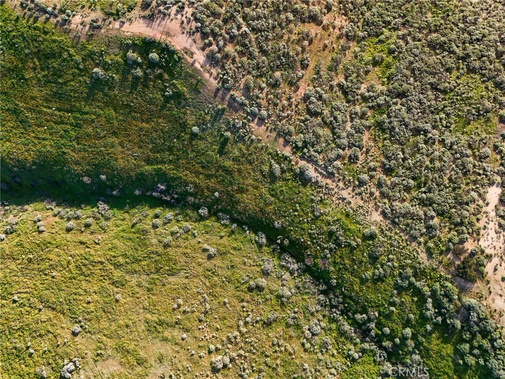 0 Via Verrazano Riverside, CA 92503 - Photo 5 of 10 a view of a yard
