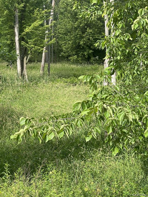 Vl North Lapeer Road Fostoria, MI 48435 - Photo 2 of 7 Gallery Image 2