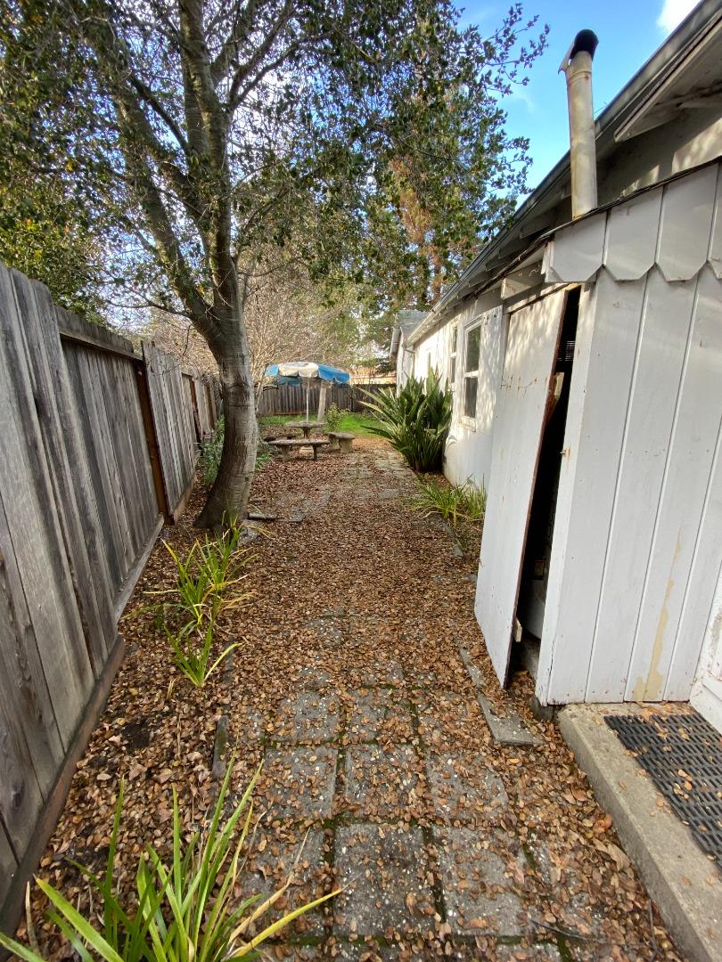 811 Fifteenth Avenue Menlo Park, CA 94025 - Photo 2 of 18 a view of a backyard with a large tree