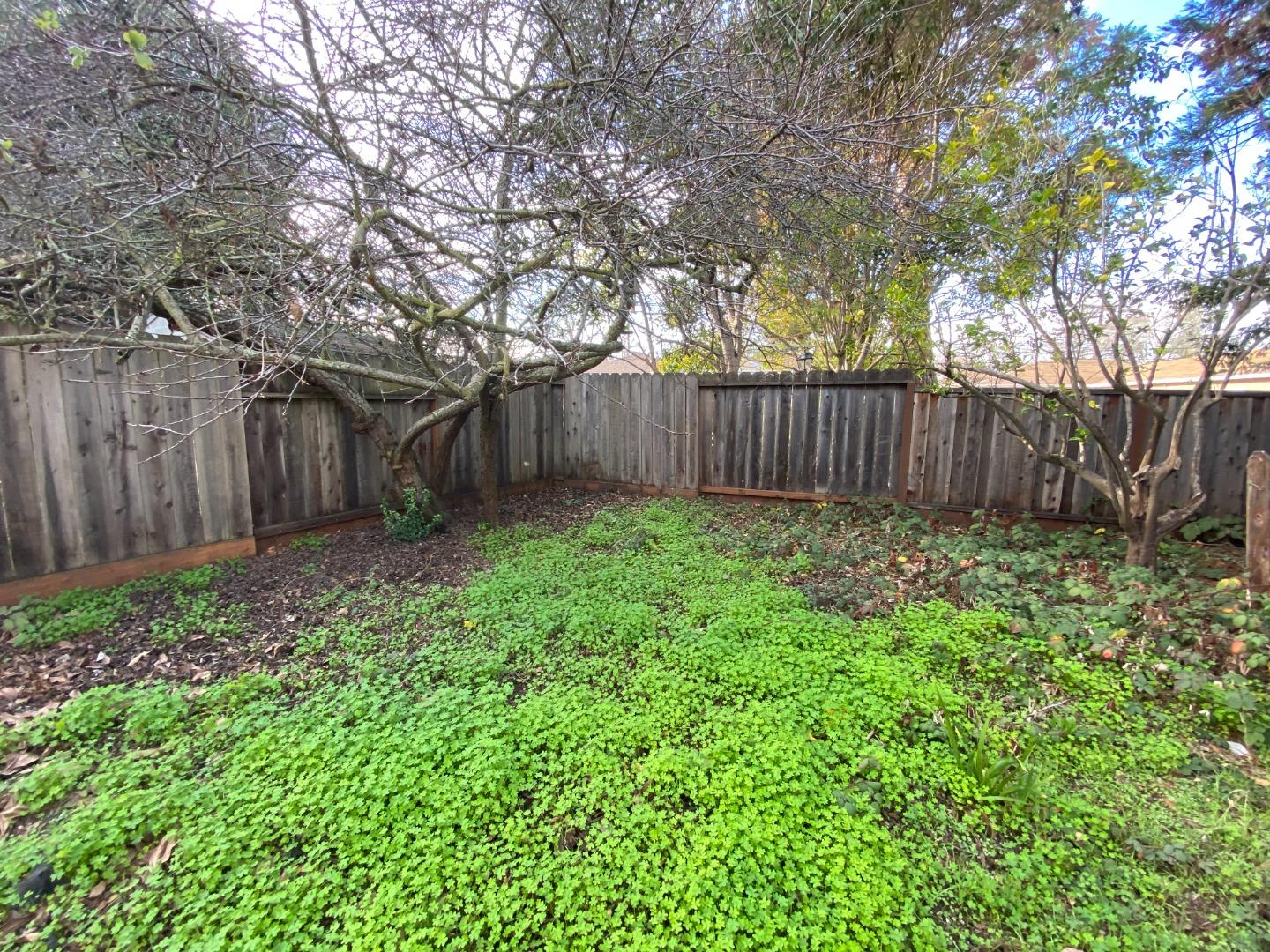 811 Fifteenth Avenue Menlo Park, CA 94025 - Photo 4 of 18 a view of a backyard with large trees and wooden fence