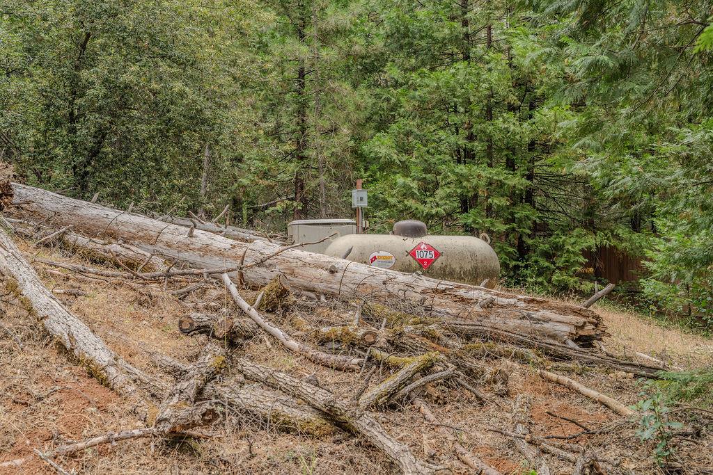 18101 Old River Road Fiddletown, CA 95629 - Photo 14 of 53 Gallery Image 14