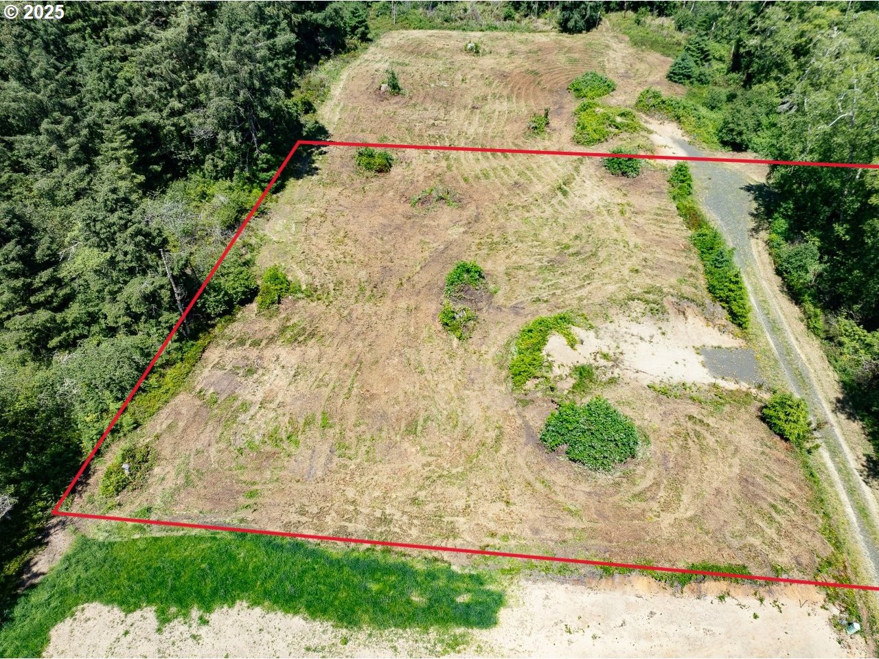 10501 Pearl Lane Long Beach, WA 98631 - Photo 4 of 9 a view of a yard with plants