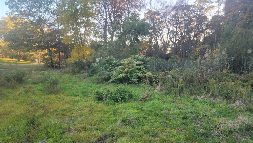 190 Old Bulgarmarsh Road Tiverton, RI 02878 - Photo 3 of 13