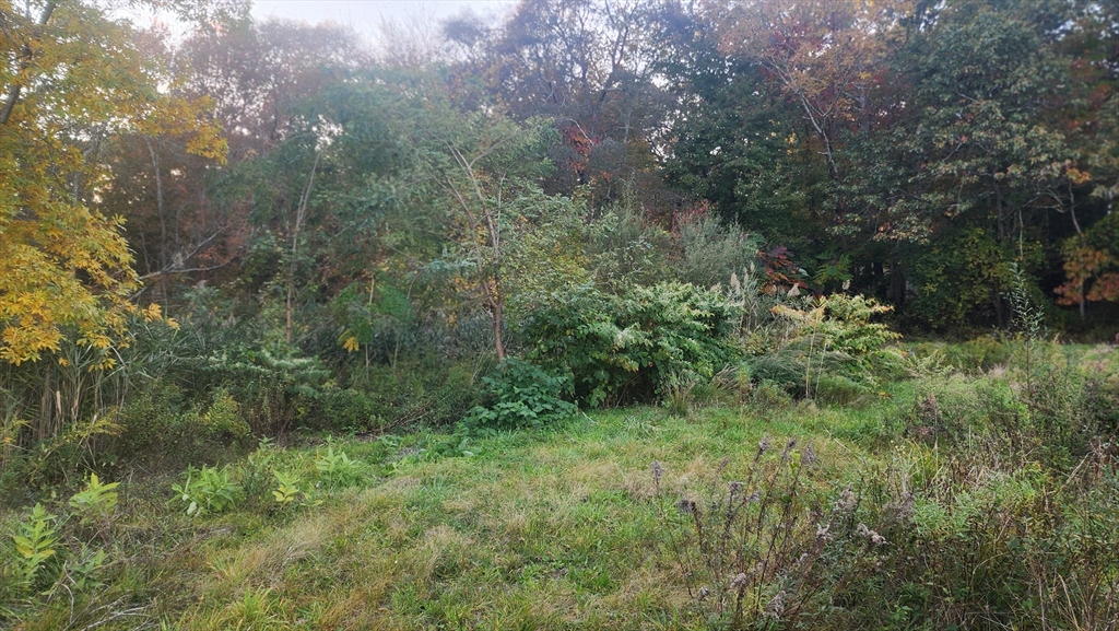 190 Old Bulgarmarsh Road Tiverton, RI 02878 - Photo 4 of 13