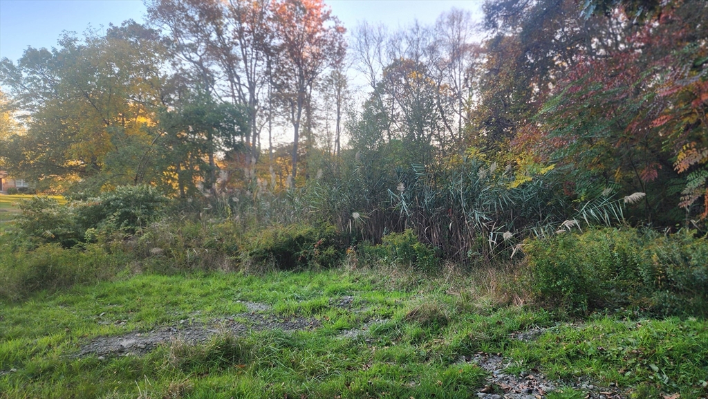190 Old Bulgarmarsh Road Tiverton, RI 02878 - Photo 5 of 13
