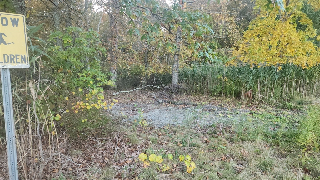 190 Old Bulgarmarsh Road Tiverton, RI 02878 - Photo 8 of 13