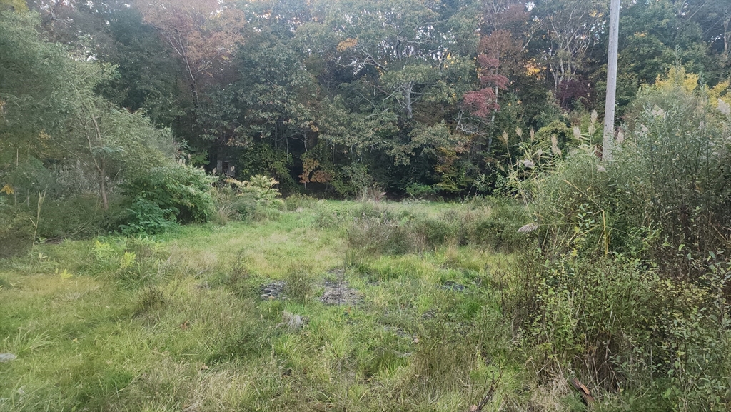 190 Old Bulgarmarsh Road Tiverton, RI 02878 - Photo 9 of 13