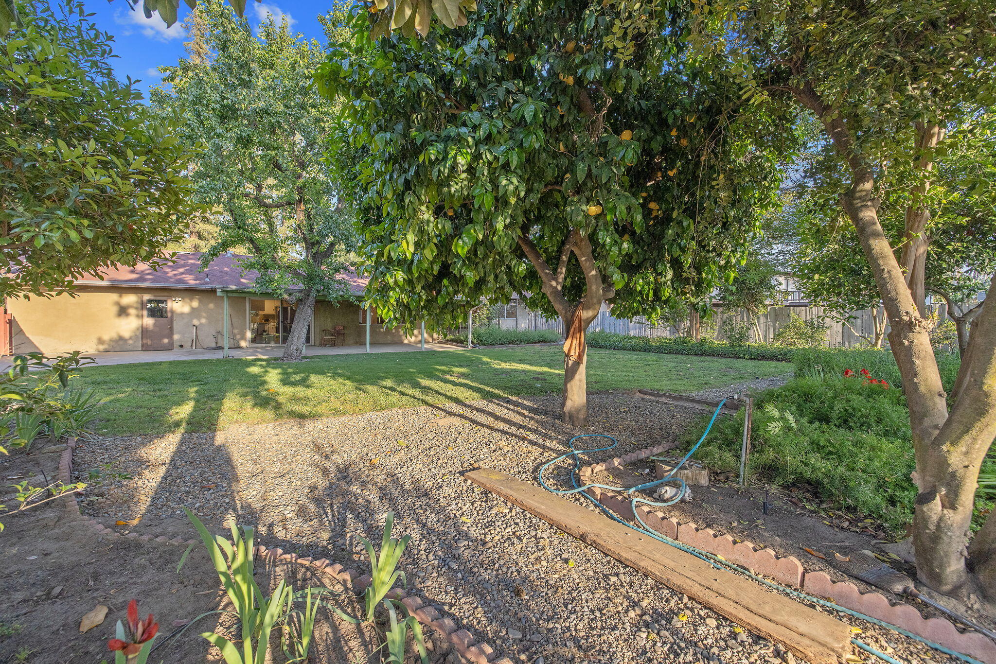30955 Tower Road Visalia, CA 93292 - Photo 48 of 65 54-web-or-mls-713A5746