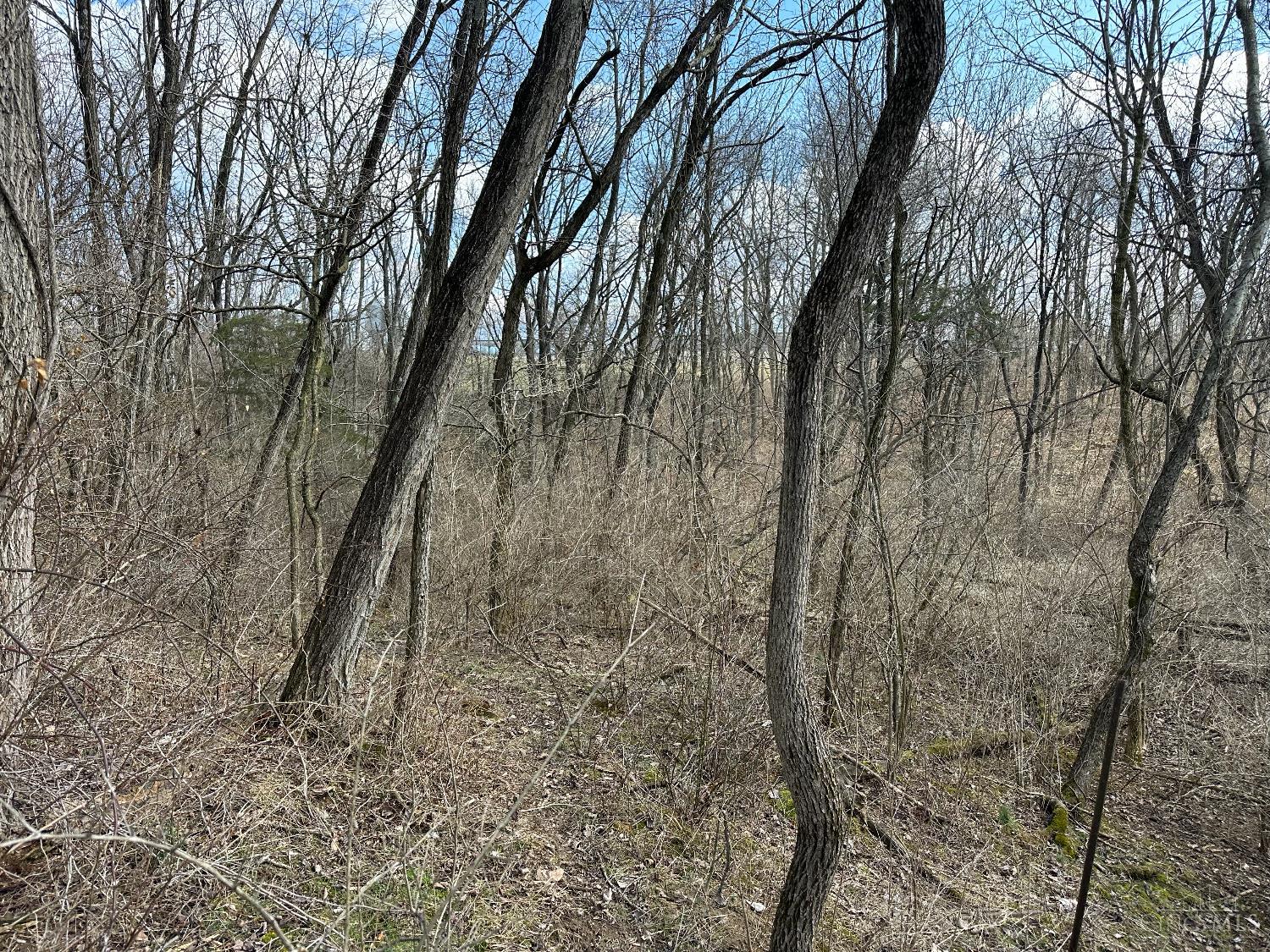 0 Wilson Road Winchester, OH 45697 - Photo 16 of 69