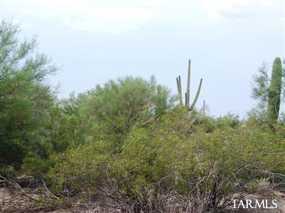 0 M South M Bar J Ranch Road Marana, AZ 85658 - Photo 6 of 6