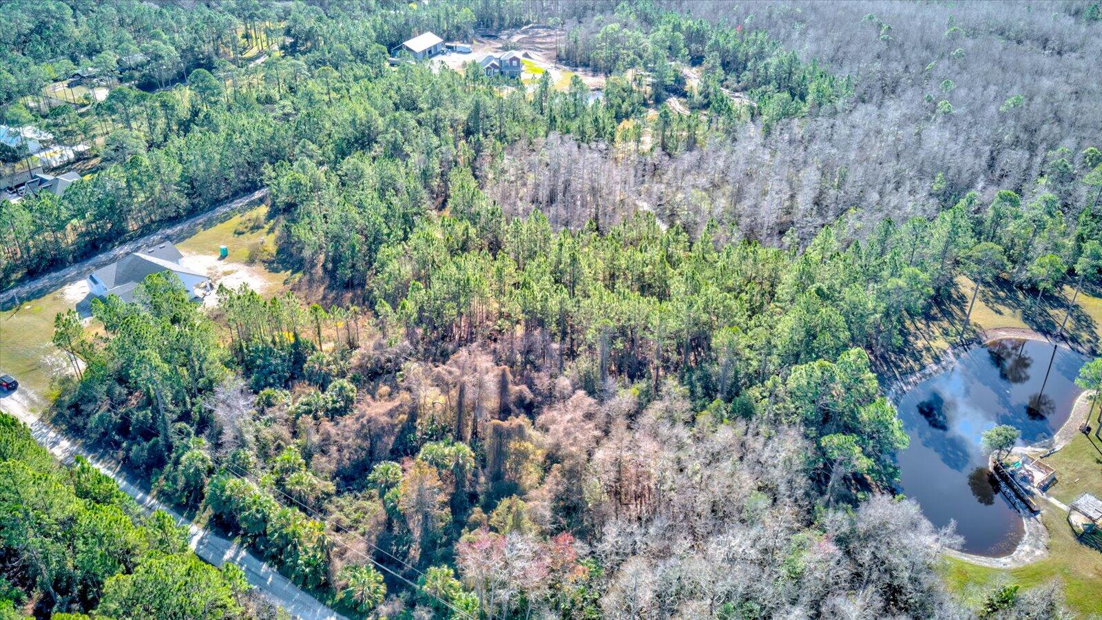 0 Rodeo Acres Drive Ormond Beach, FL 32174 - Photo 5 of 20 a view of a garden with plants