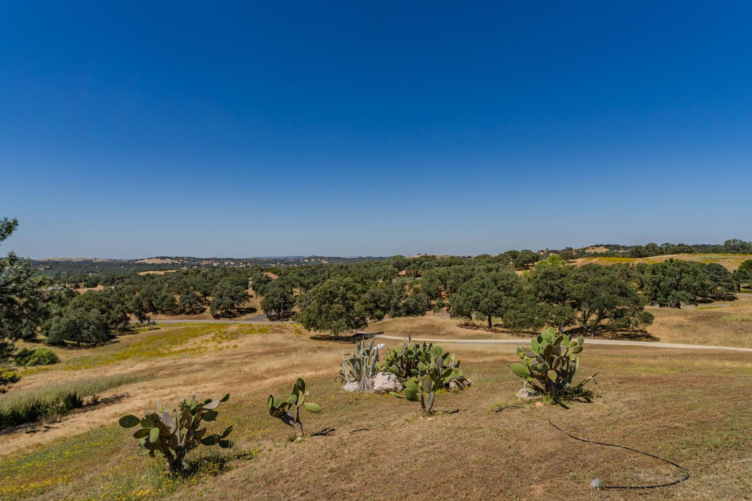 15070 Willow Creek Road Ione, CA 95640 - Photo 64 of 66
