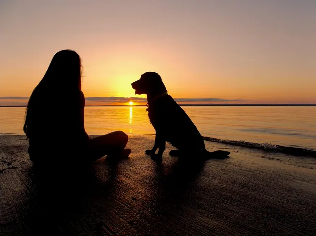 $1,299,000 | 106 Chuckwagon, Burnet, TX 78611