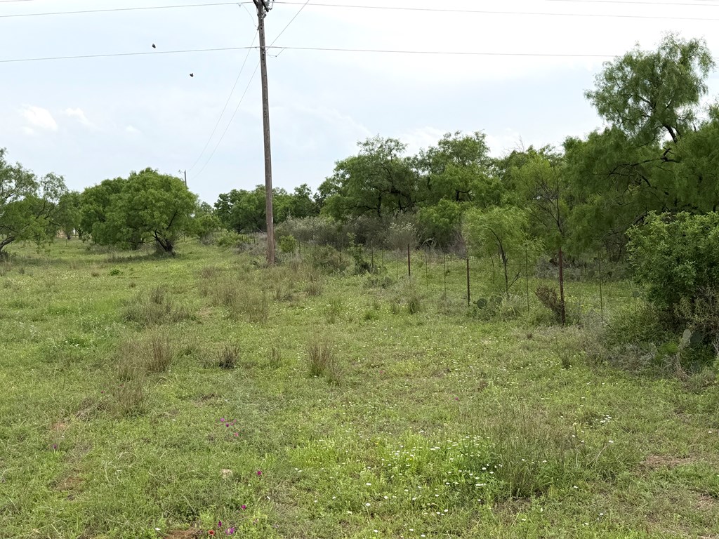 406 Airport Road Mason, TX 76856 - Photo 5 of 11 Gallery Image 5