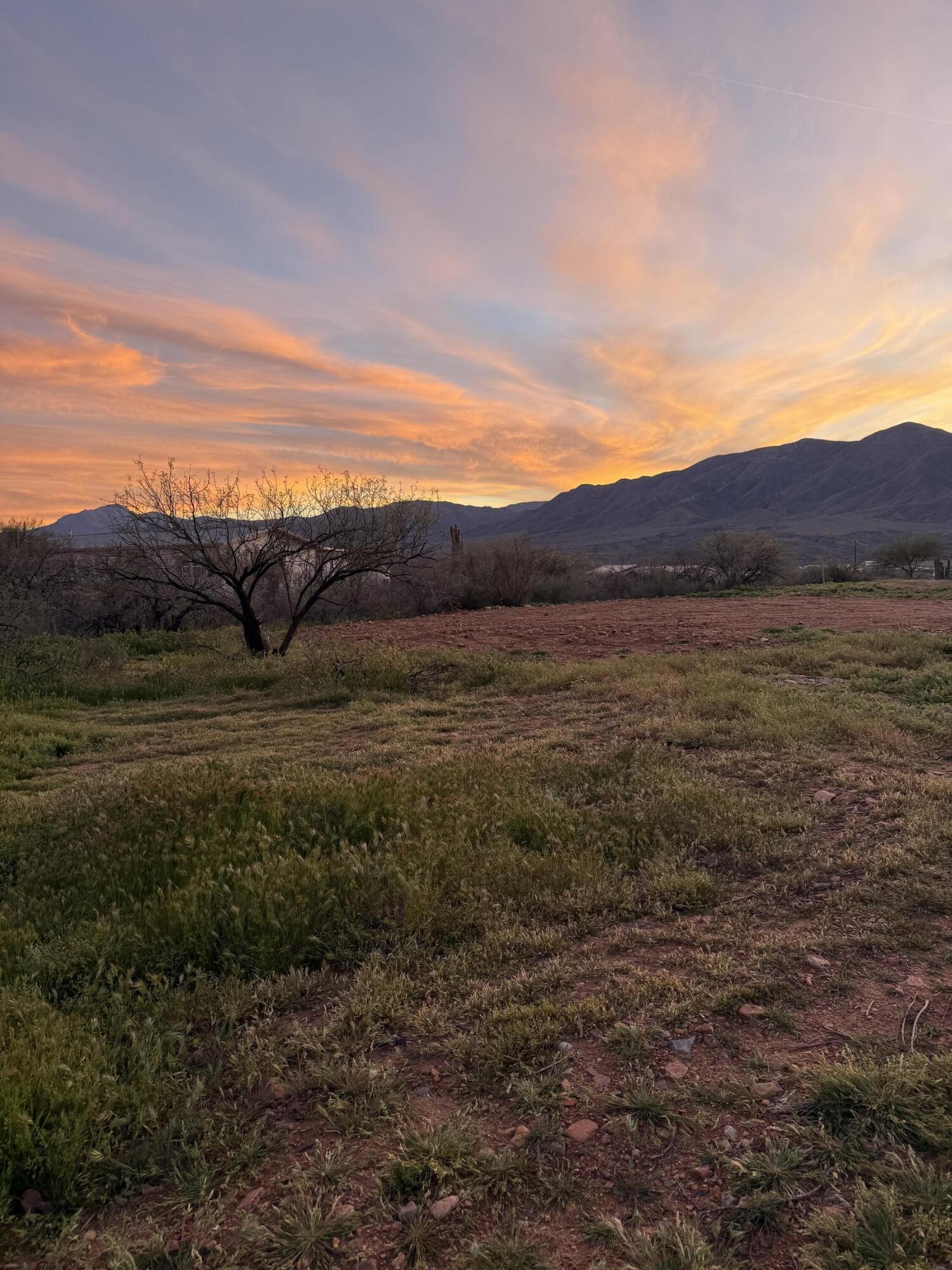 345 Old Mill Road Tonto Basin, AZ 85553 - Photo 29 of 32 IMG_6319