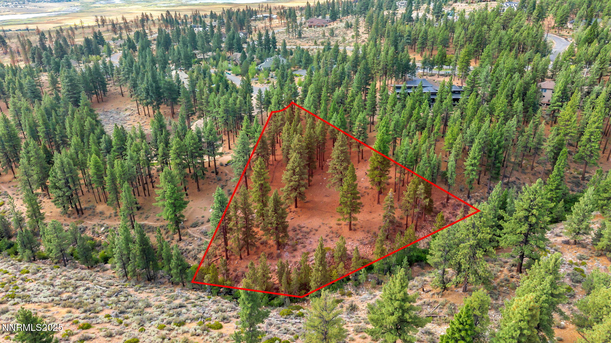 a view of a yard with plants and a bench