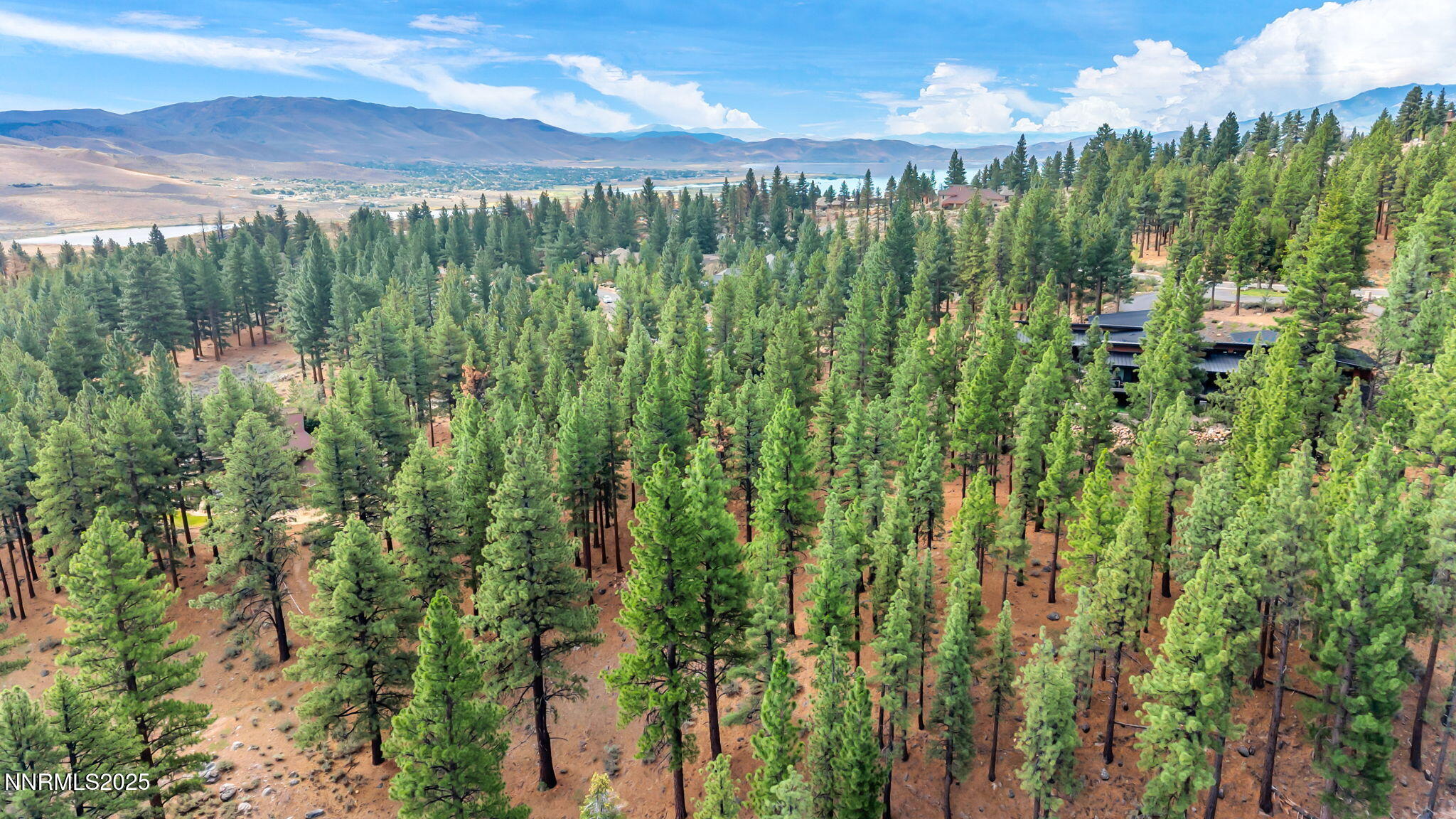 205 Timbercreek Court Reno, NV 89511 - Photo 11 of 13 a view of a yard with an trees