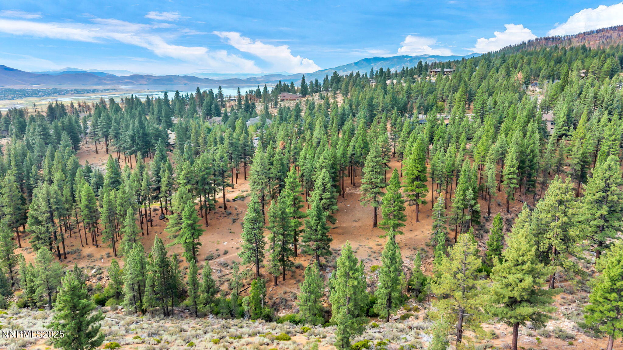 205 Timbercreek Court Reno, NV 89511 - Photo 12 of 13