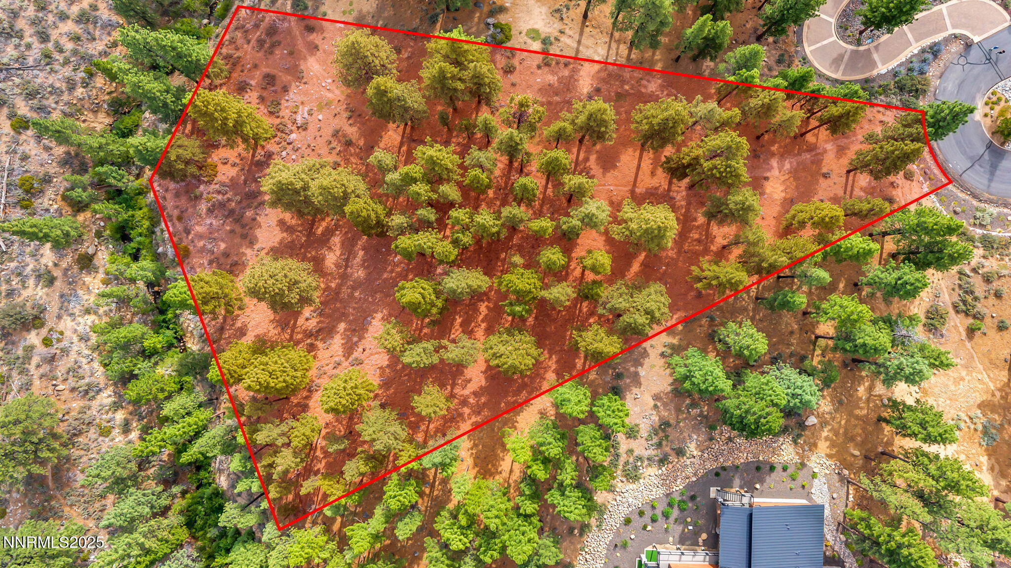 205 Timbercreek Court Reno, NV 89511 - Photo 2 of 13 a backyard of a house with lots of green space and trees all around