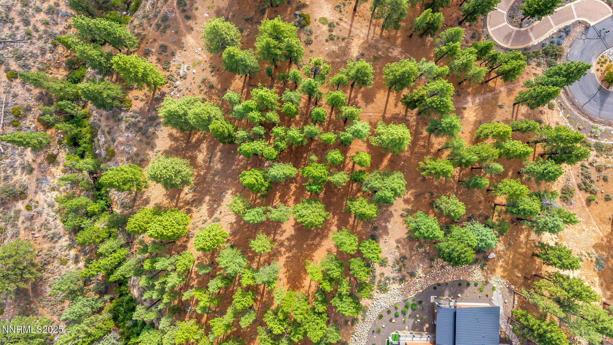 205 Timbercreek Court Reno, NV 89511 - Photo 5 of 13 a backyard of a house with lots of green space
