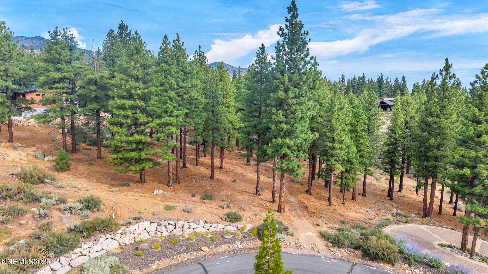 205 Timbercreek Court Reno, NV 89511 - Photo 7 of 13 a view of a yard with plants and trees