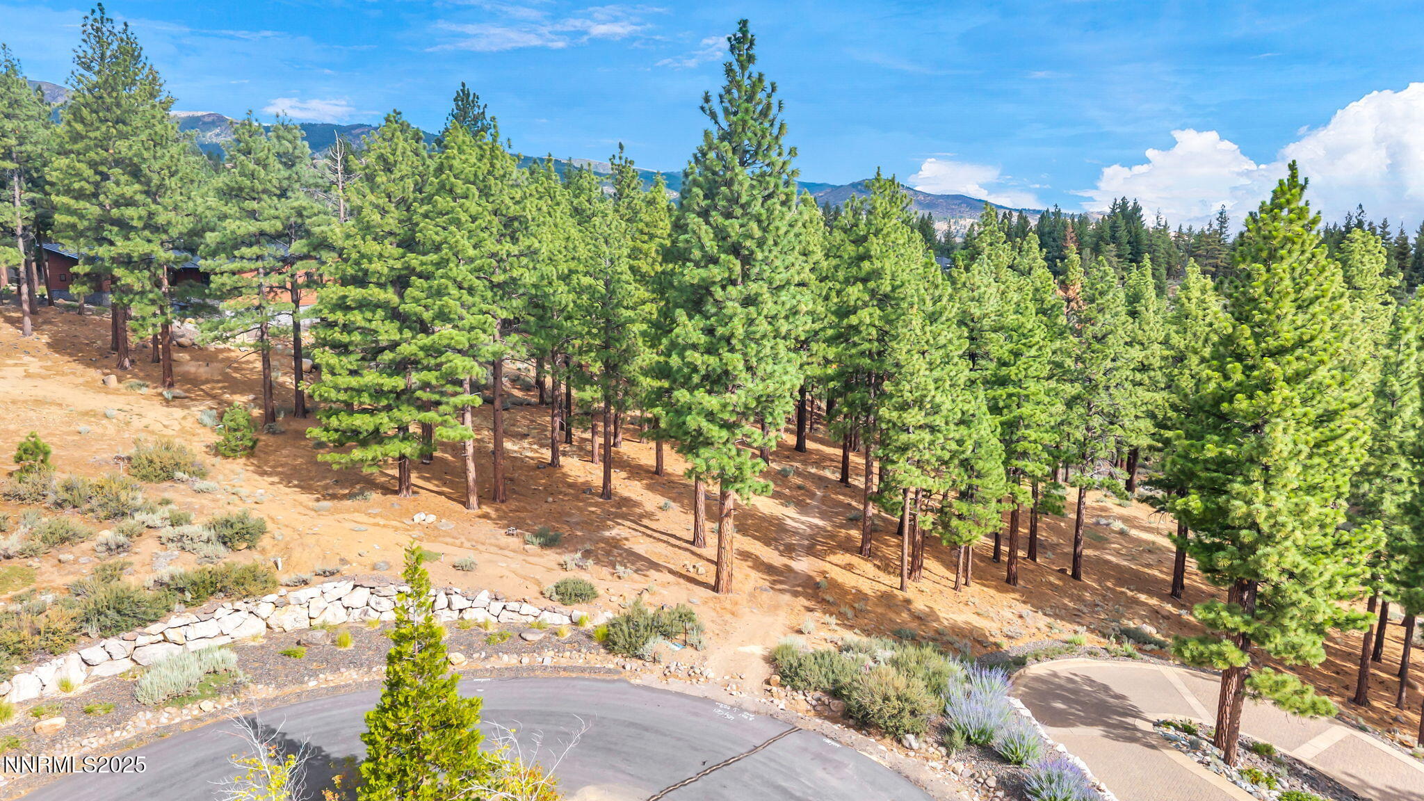 205 Timbercreek Court Reno, NV 89511 - Photo 8 of 13 a view of a garden